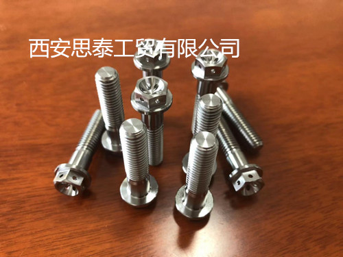 高強度防腐打孔鈦合金螺絲